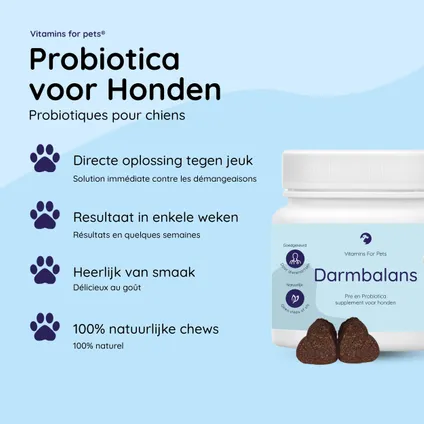 Pitt & Co. Probiotica voor Honden Tegen Jeuk 100% Natuurlijk 60 chews 2