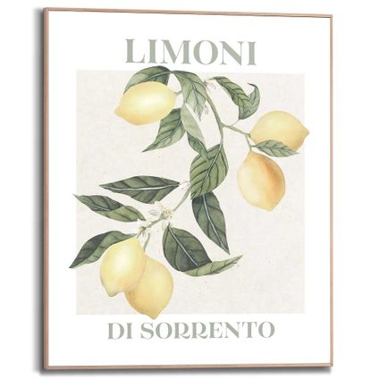 Tableau Citron Limoni 40 x 50 cm