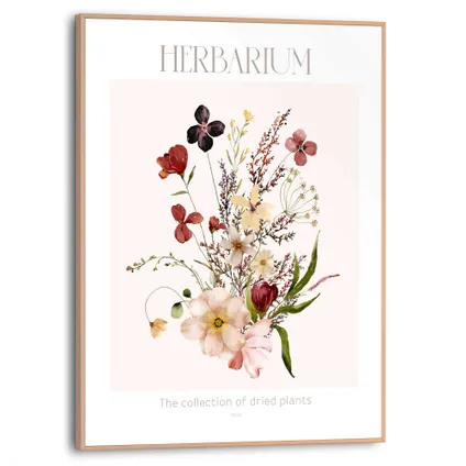 Tableau Herbarium 30 x 40 cm