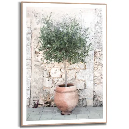 Schilderij Olive Tree 50 x 70 cm