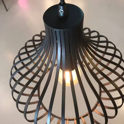 Freelight hanglamp Aglio 38cm zwart 3
