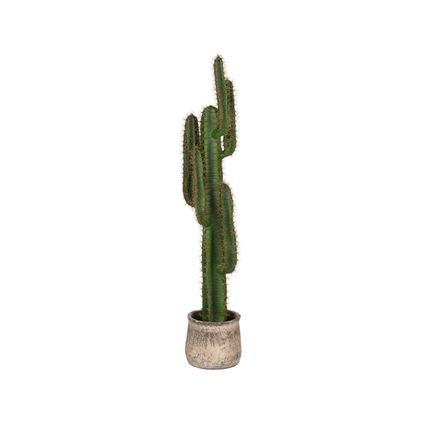 LABEL51 Cactus - Vert - Plastique - 130