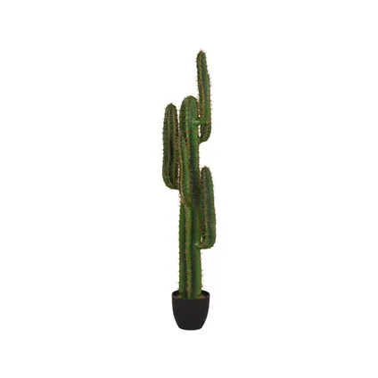 LABEL51 Cactus - Groen - Kunststof - 130 2