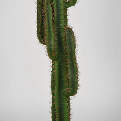 LABEL51 Cactus - Groen - Kunststof - 130 3