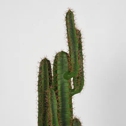 LABEL51 Cactus - Groen - Kunststof - 130 4