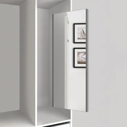 Emuca Uitschuifbare binnenspiegel voor kledingkast, Staal en Plastic en Glas, Metal-grijs gelakt 2