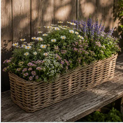 Mega Collections Plantenmand Levi - Rotan - 60 X 15 X 17 Cm 5