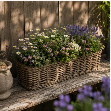 Mega Collections Plantenmand Levi - Rotan - 60 X 15 X 17 Cm 6