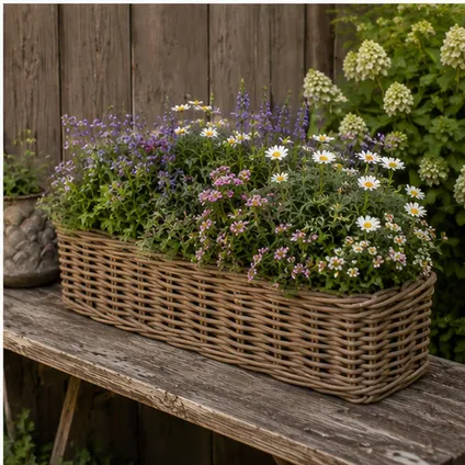 Mega Collections Plantenmand Levi - Rotan - 60 X 15 X 17 Cm 7