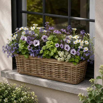 Mega Collections Plantenmand Levi - Rotan - 40 X 15 X 17 Cm 5