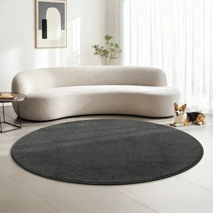 Uni Effen Rond Vloerkleed Laagpolig Grijs - 240 Cm Ø 7