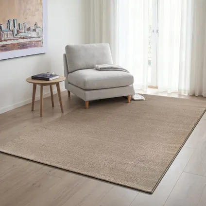 Uni Effen Vloerkleed Laagpolig Beige - 300x400 Cm 9