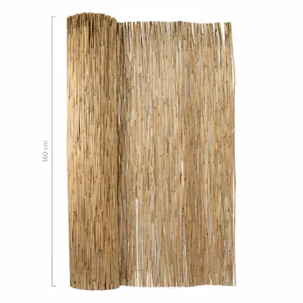 Masters Of Bamboo Rietmat Royal - 8-10 Mm - 600 X 160 Cm