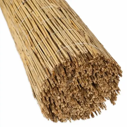 Masters Of Bamboo Rietmat Royal - 8-10 Mm - 600 X 160 Cm 2