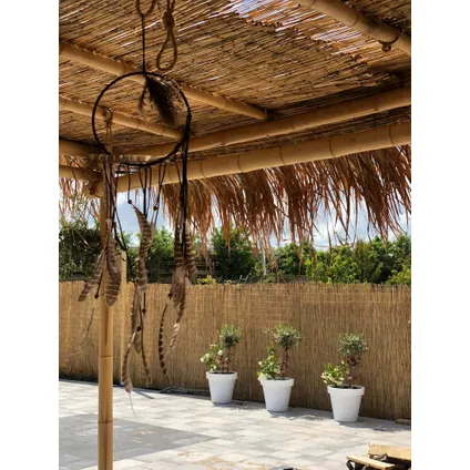 Masters Of Bamboo Rietmat Royal - 8-10 Mm - 600 X 160 Cm 4