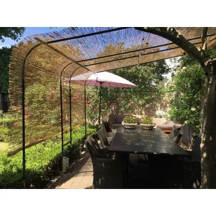 Masters Of Bamboo Rietmat Royal - 8-10 Mm - 600 X 160 Cm 6