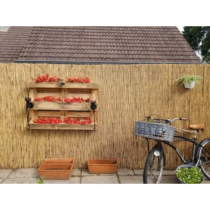 Masters Of Bamboo Rietmat Royal - 8-10 Mm - 600 X 160 Cm 8