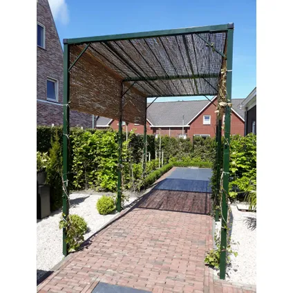 Masters Of Bamboo Rietmat Royal - 8-10 Mm - 600 X 160 Cm 9