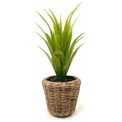 Van Der Leeden Planten Mand - Rond - Rotan - Gevlochten - 32x29cm