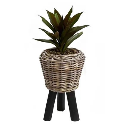 Van Der Leeden Planten/bloemen Mand Op Pootjes -rotan -d27xh42 Cm