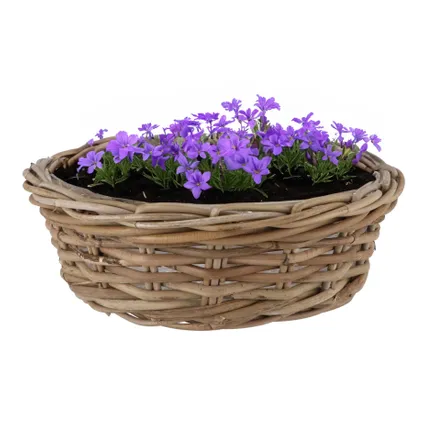 Dk Design Plantenmand - Ivy - Binnenzak - Rotan - B40 X H13 Cm 3