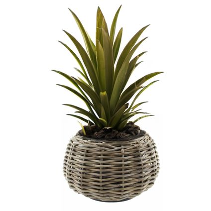 Van Der Leeden Planten/bloemen Mand - Rotan -d30 X H19 Cm