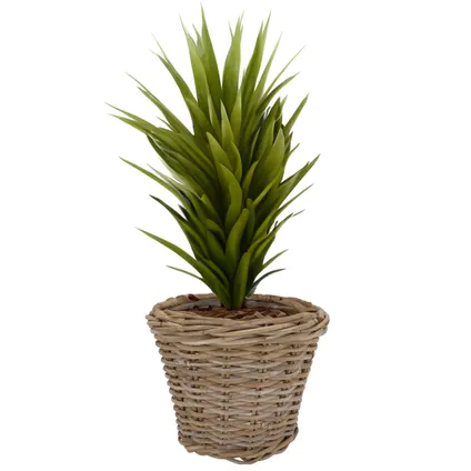 Dk Design Plantenmand - Ivy - Binnenzak - Rotan - B28 X H23 Cm 3
