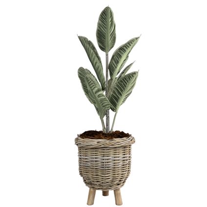 Van Der Leeden Planten/bloemen Mand Op Pootjes -rotan -d34xh40 Cm