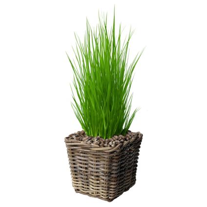 Planten/bloemen Mand - Rotan - Gevlochten Riet - L27xb27xh25 Cm