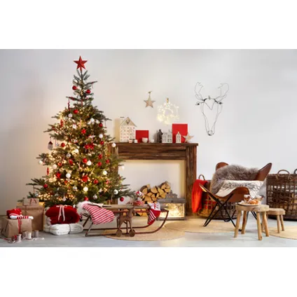 Kerstboom Nordmann gezaagd - A-kwaliteit - ↕175-200cm 4