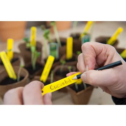 Étiquettes à planter Nature + 1 crayon 10cm 25pcs 3