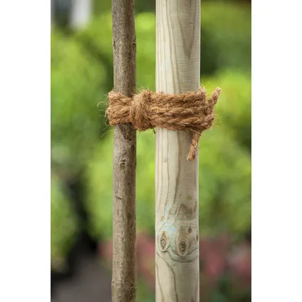 Nature kokostouw - 15 m 3