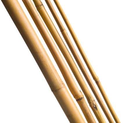 Nature bamboestok naturel 210 cm – 3 stuks