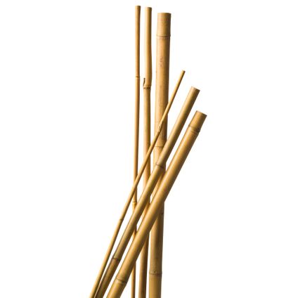 Tuteur bambou naturel - H120 cm x Ø10-12 mm - 5 x