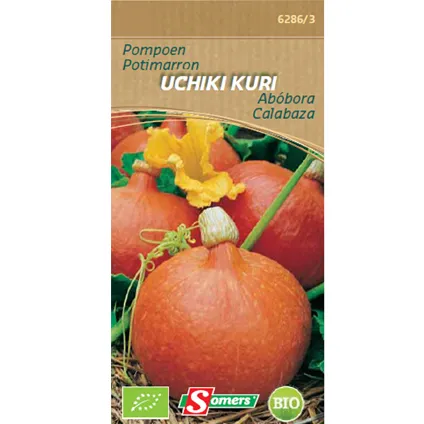 Somers zaad pakket pompoen 'Uchiki Kuri'