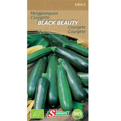 Somers zaad pakket mergpompoen 'Black beauty'