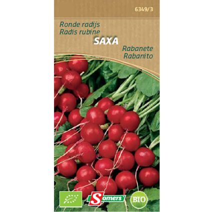 Somers zaad pakket ronde radijs 'Saxa'