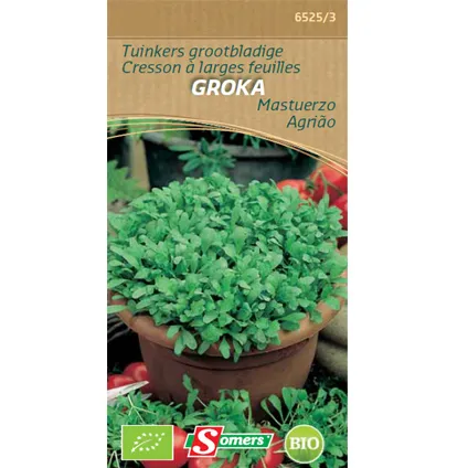 Sachet graines cresson à larges feuilles Somers 'Groka'