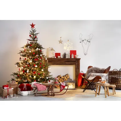 Kerstboom Nordmann gekapt - A-kwaliteit - ↕80-100cm 7