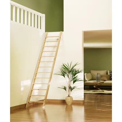 Échelle de meunier Pivoine- Sogem - 275x50 cm - escalier vertical en bois - gain de place 2