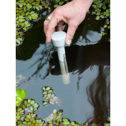 Thermomètre flottant de bassin Ubbink AquaThermo plastique beige 19cm 2