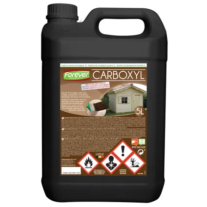 Protection bois Forever Carboxyl 5L