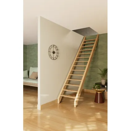 Escalier à pas japonais - escalier à crémaillère - Jasmin - bon rapport qualité/prix 2
