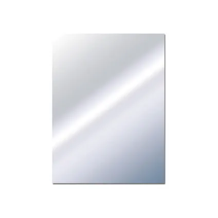 Plieger spiegel Basic rechthoek 60x45cm zilver
