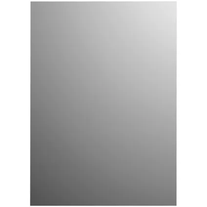 Plieger spiegel Basic rechthoek 90x45cm zilver