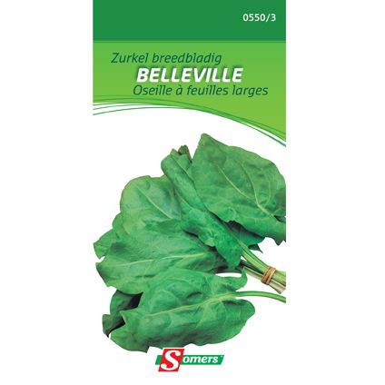 Somers zaad pakket zurkel breedbladig 'Belleville'