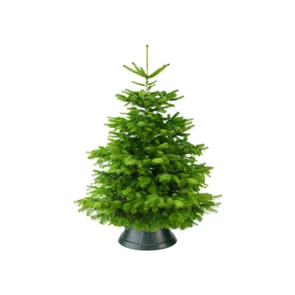 Elho kerstboomvoet Nordman groen 39cm 2