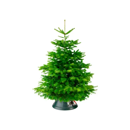 Elho kerstboomvoet Nordman groen 39cm 3
