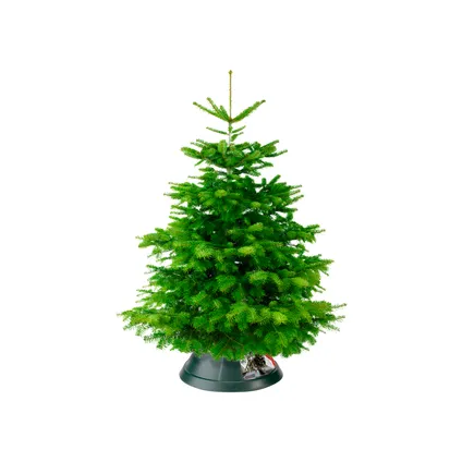 Elho kerstboomvoet Nordman groen 52cm 3