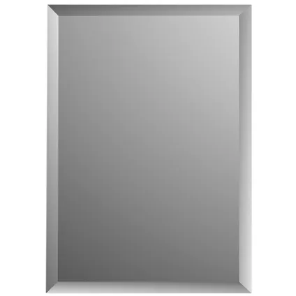 Plieger spiegel Charleston met facetrand rechthoek 90x45cm zilver